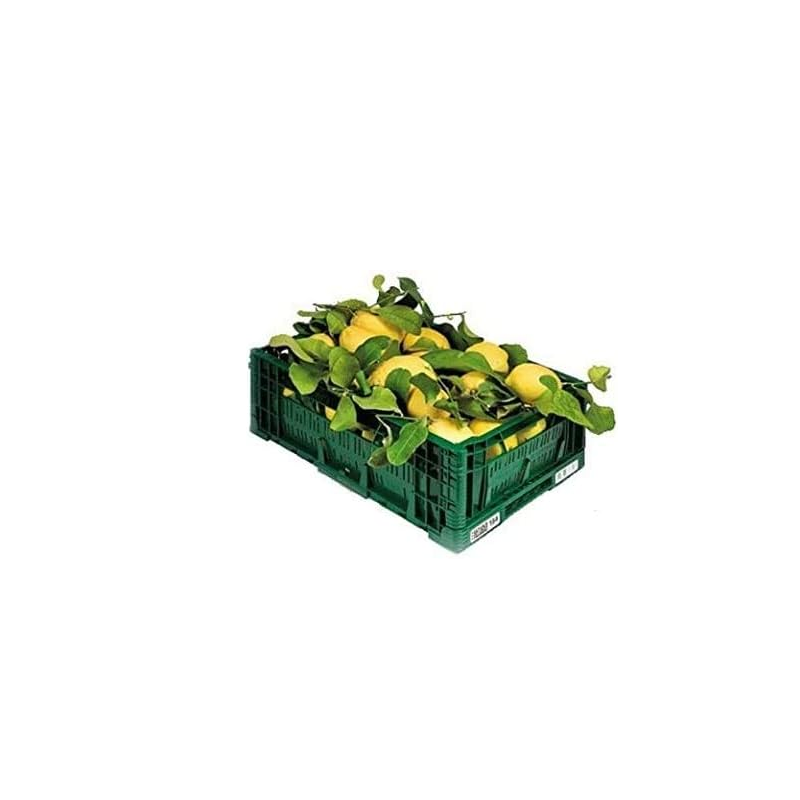 10 kg cassetta cassa limoni di sicilia bio naturali raccolti e spediti  freschi