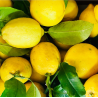 10 kg cassetta  limoni di sicilia bio naturali raccolti e spediti freschi agrumi